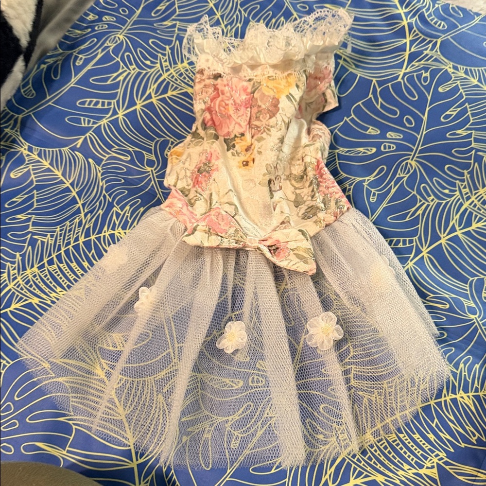 Floral Lace Dress with Tulle Skirt dog